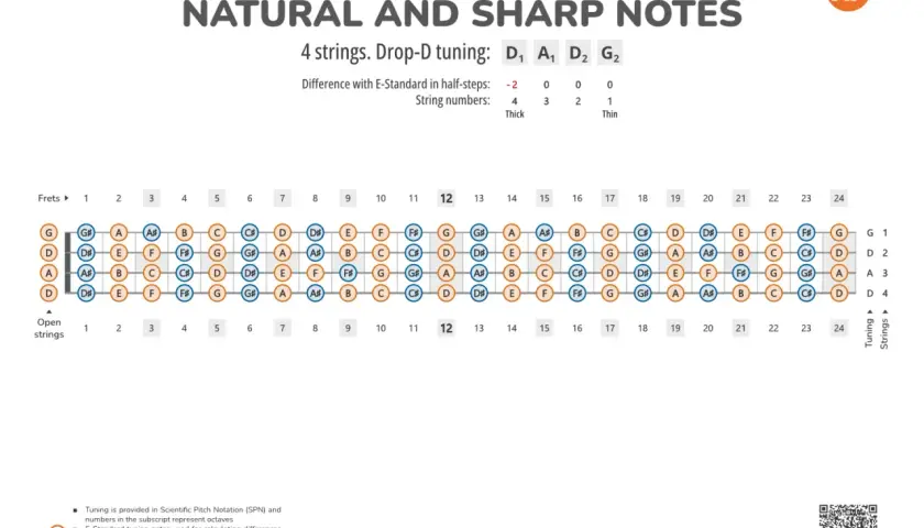 Carte du manche de basse montrant les notes naturelles et dièses. Idéal pour apprendre les notes basse.