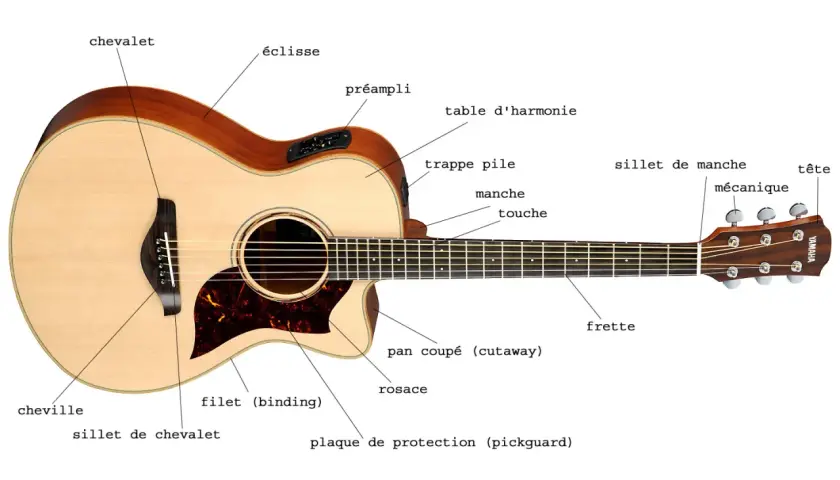 Guitare acoustique avec étiquettes identifiant ses parties : chevalet, table d'harmonie, manche, etc. Idéal pour la prise de son guitare acoustique.