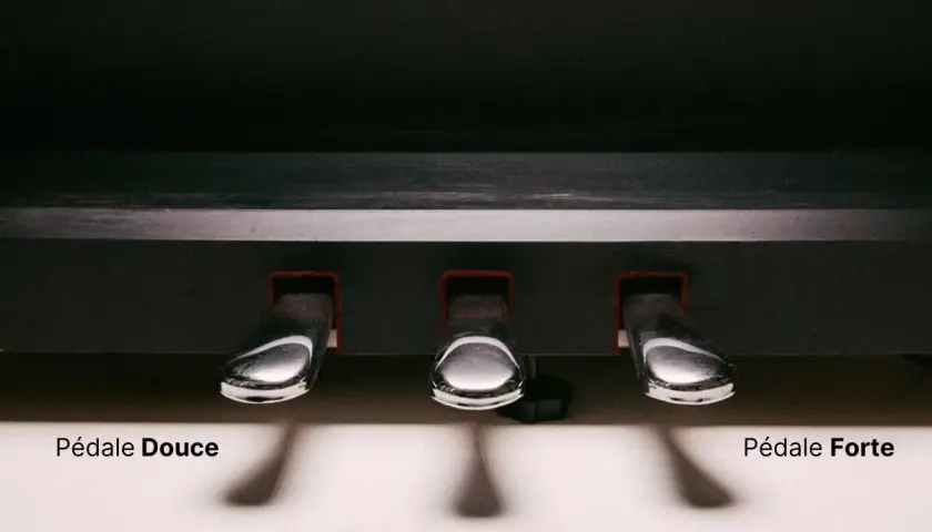 Les pédales piano : douce, de soutien et forte. Trois leviers chromés pour moduler le son.