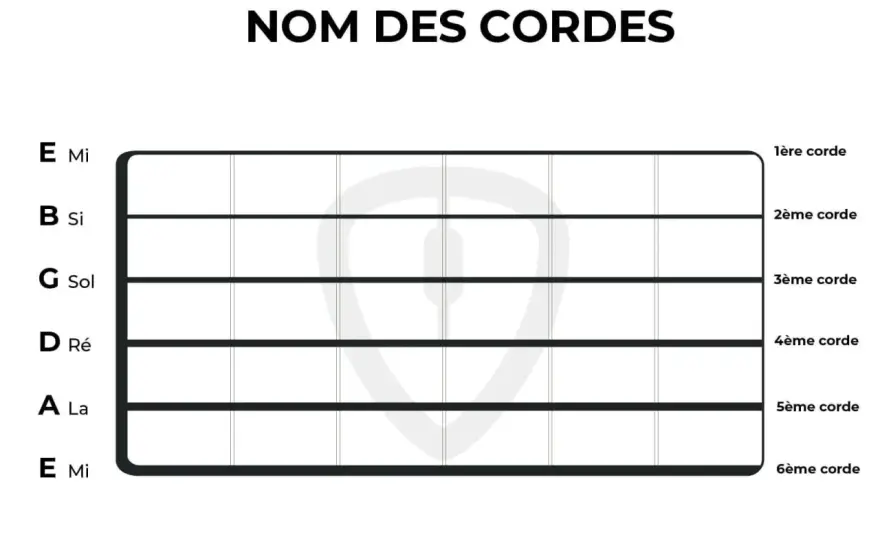 Notes sur le manche de basse - repères simples pour tout lire
