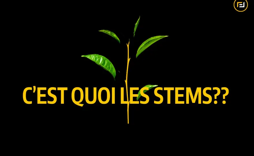 Stems en musique, à quoi servent-ils en MAO et en DJ ?