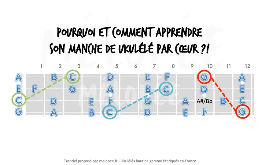 Notes du ukulélé - lire le manche et jouer juste