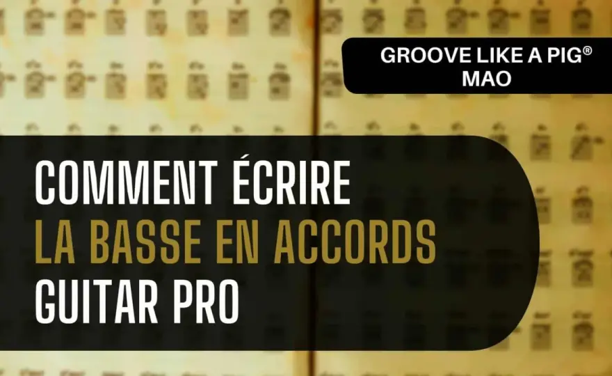 Accords à la basse - les formes qui gardent le groove