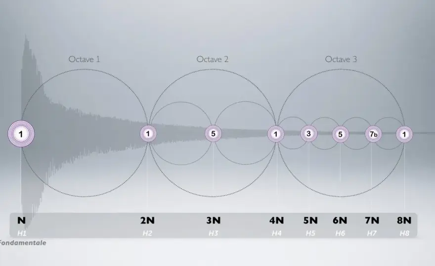 Harmoniques en musique - comprendre leur rôle dans le son