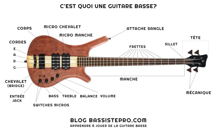 Basse en musique - choisir l’instrument et maîtriser le grave