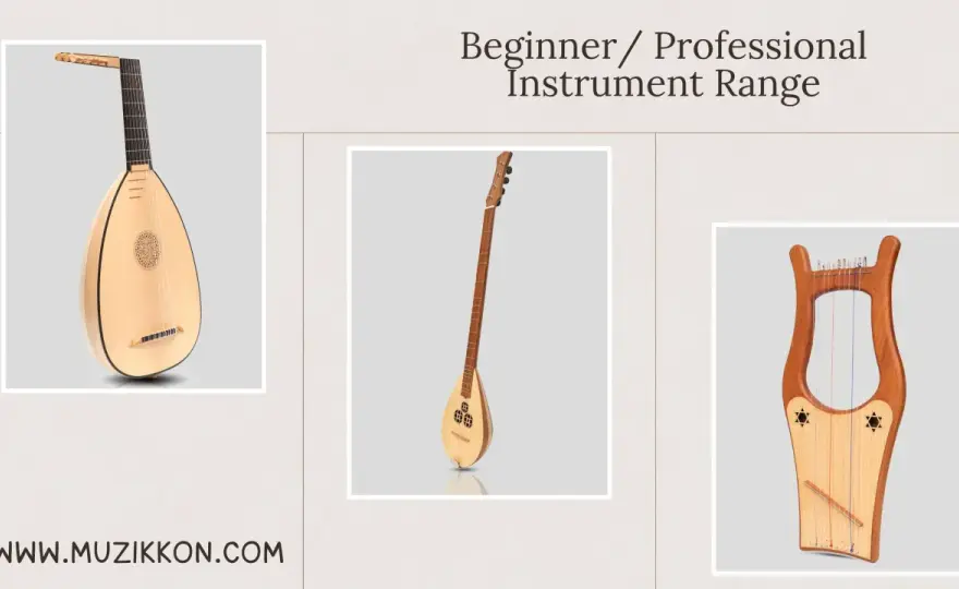 Instruments à cordes - bien les choisir et les faire sonner