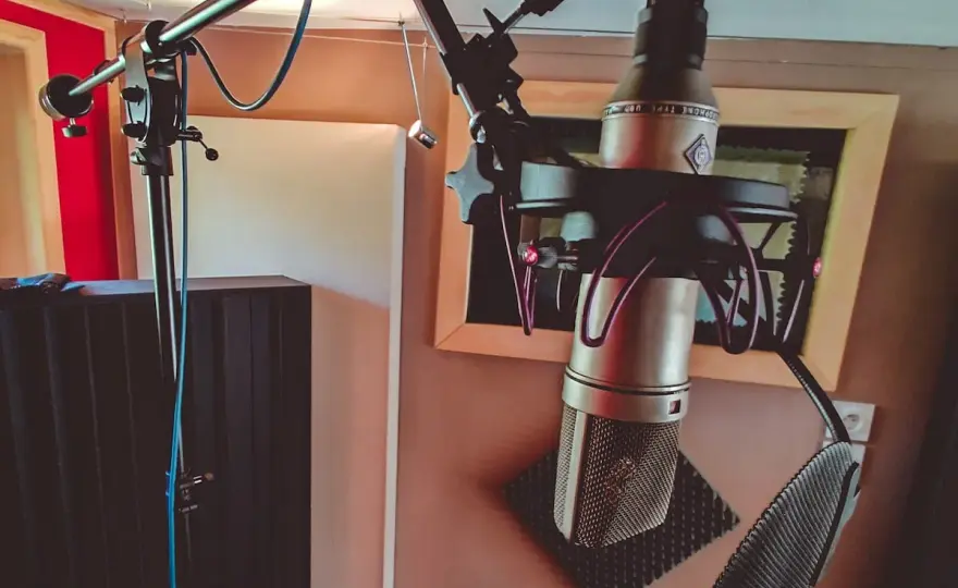 Micro cardioïde - le meilleur compromis pour la voix et le studio