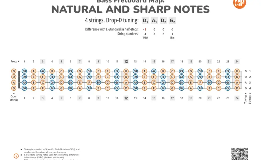 Notes basses à la basse - le guide pour un grave net