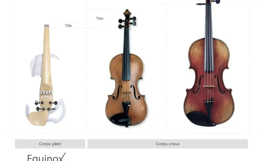 Violon ou alto ? Les vraies différences à connaître
