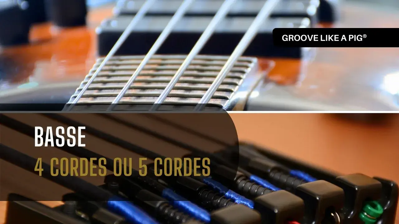 Gros plan sur les cordes d'une basse, avec le texte "BASSE 4 CORDES OU 5 CORDES".