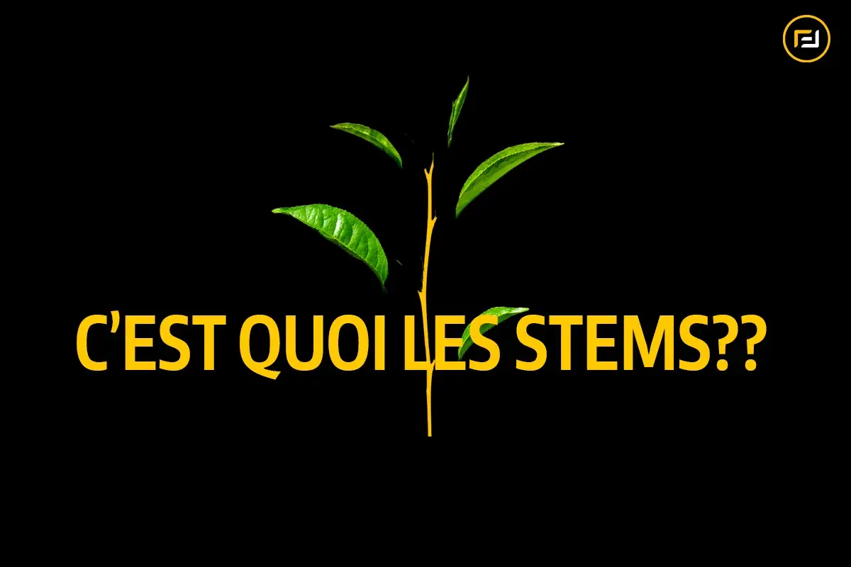 Une jeune pousse verte aux feuilles éclatantes, avec le texte "C'EST QUOI LES STEMS??". Le sens des tiges est exploré.