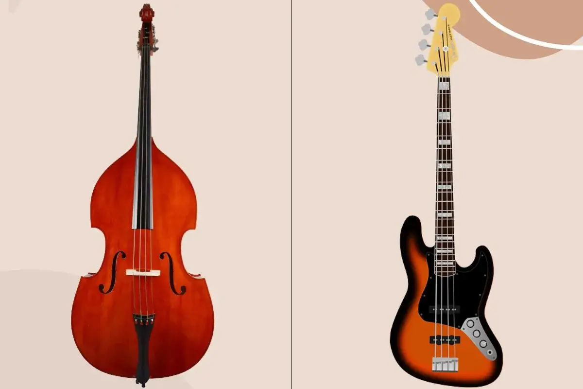 Contrebasse acoustique et basse électrique, deux instruments à cordes pour des sons graves.