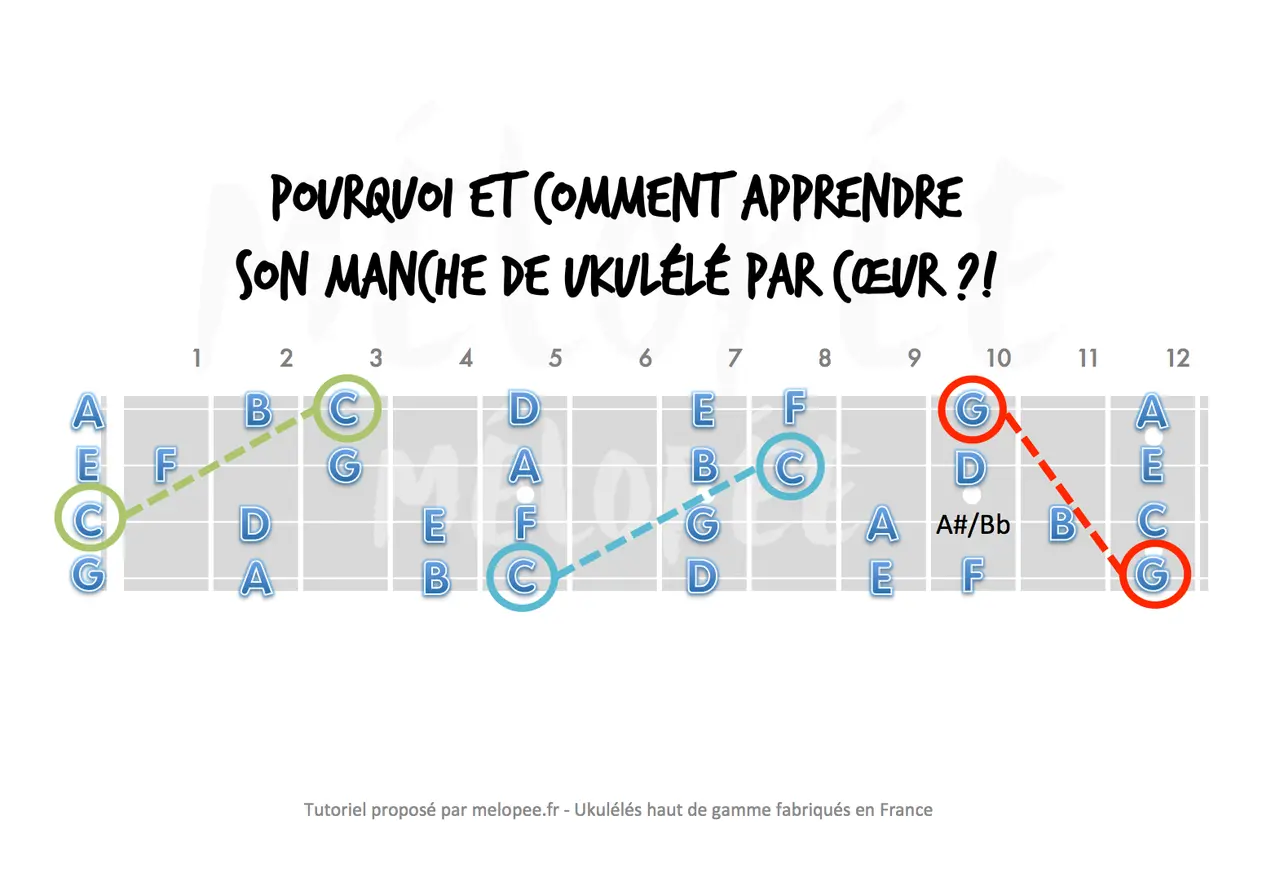 Diagramme du manche de ukulélé montrant les notes, avec des lignes pointillées reliant des notes spécifiques. Apprendre ces notes de ukulélé par cœur est essentiel.