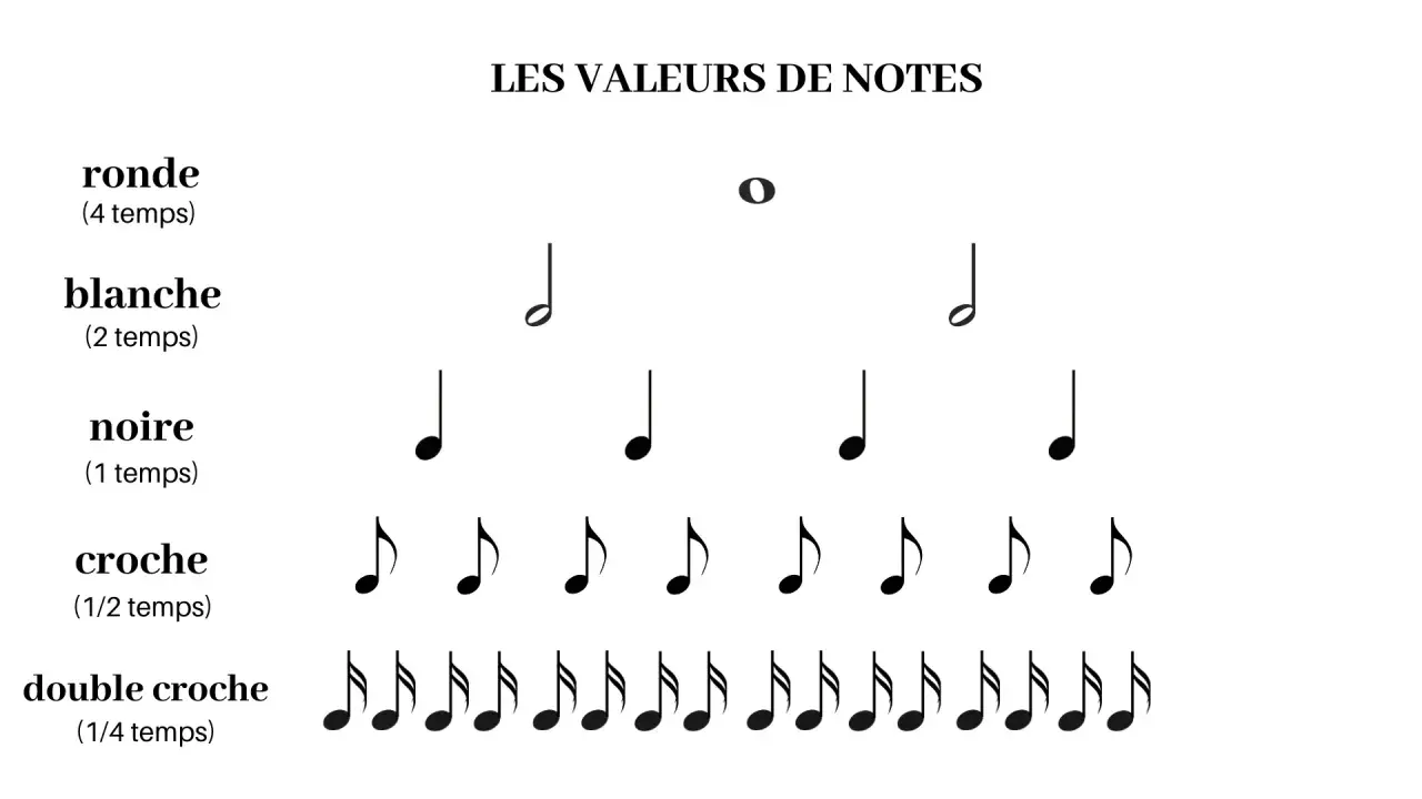 Les valeurs de notes musicales : ronde (4 temps), blanche (2 temps), noire (1 temps), croche (1/2 temps), double croche (1/4 temps). Chaque note définit le rythme.