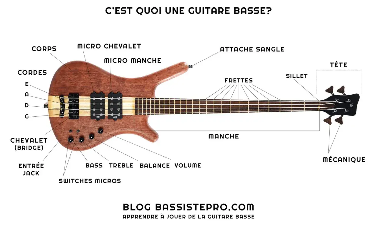 Une guitare basse en bois avec ses différentes parties étiquetées : corps, manche, tête, cordes, micros, chevalet. Idéal pour apprendre le **bass musique**.