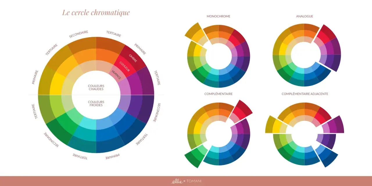 Le cercle chromatique illustre la **gamme par ton** des couleurs chaudes et froides, ainsi que des schémas de couleurs monochromes, analogues et complémentaires.