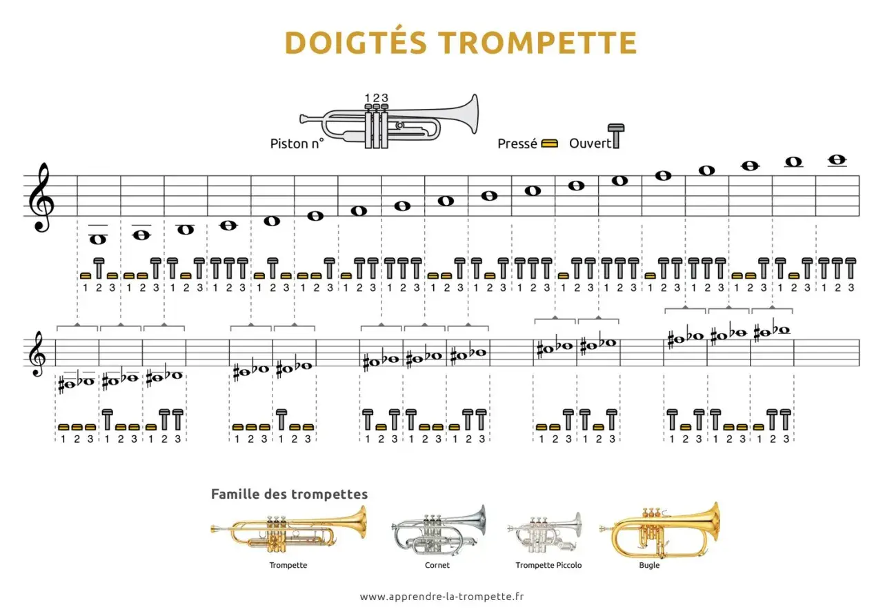 Guide des doigtés pour la trompette, montrant les notes et les combinaisons de pistons pour jouer.