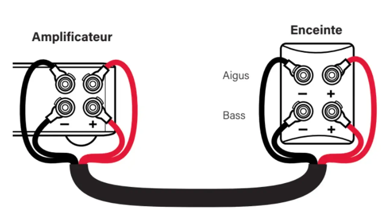Schéma de bi-amplification : un amplificateur alimente séparément les aigus et les basses d'une enceinte.