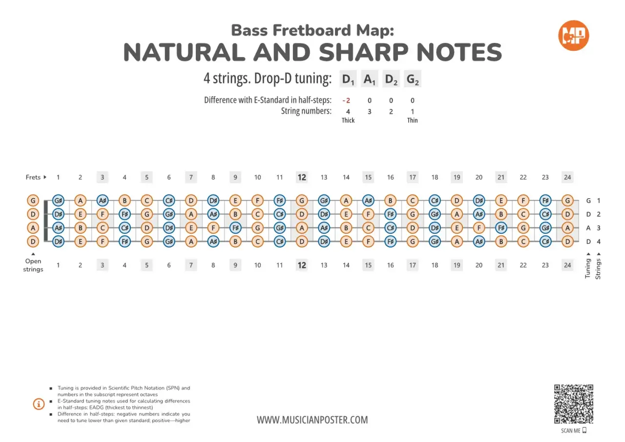 Carte du manche de basse montrant les notes naturelles et dièses. Idéal pour apprendre les notes basse.