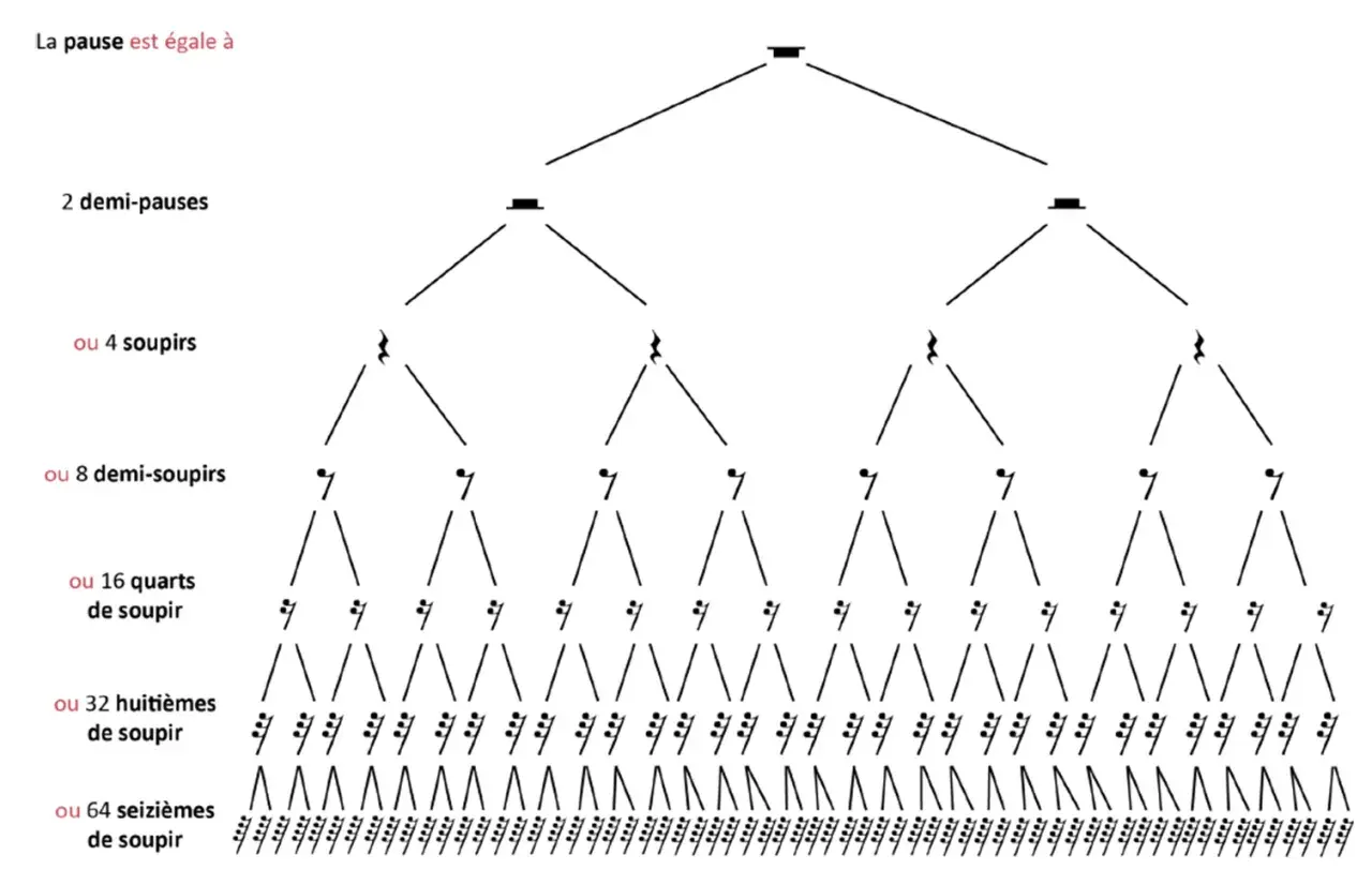 Arbre de valeurs musicales montrant qu'une pause entière équivaut à 2 demi-pauses, 4 soupirs, 8 demi-soupirs, 16 quarts de soupir, 32 huitièmes de soupir, ou 64 seizièmes de soupir.