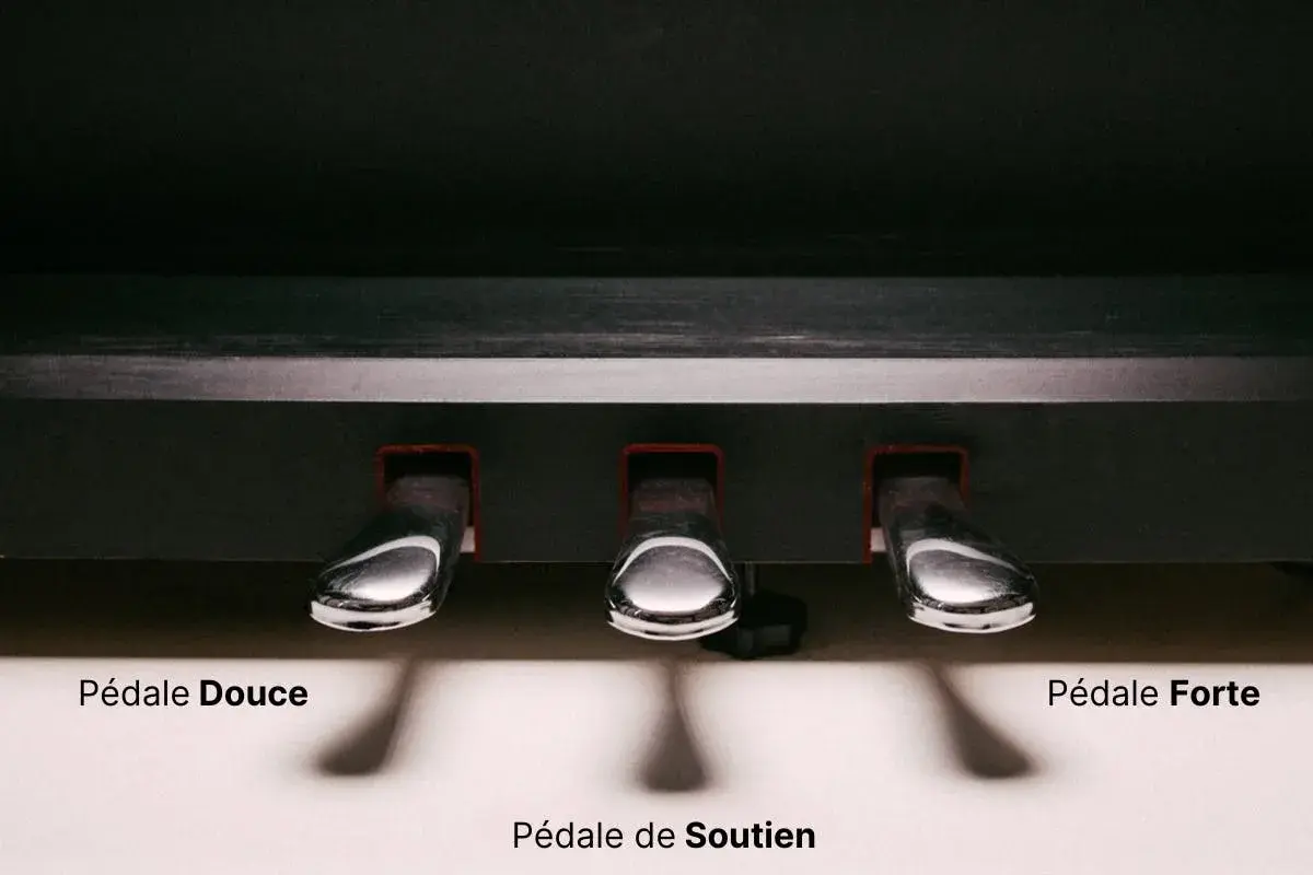 Les pédales piano : douce, de soutien et forte. Trois leviers chromés pour moduler le son.