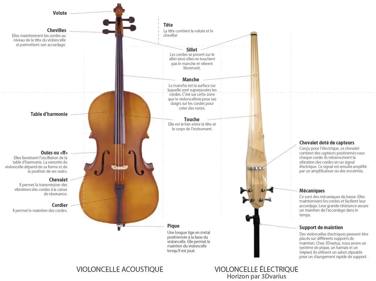 Le violoncelle acoustique et &eacute;lectrique, avec ses diff&eacute;rentes parties expliqu&eacute;es : table d'harmonie, manche, chevalet, etc.