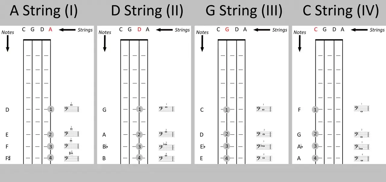 Diagrammes de doigt&eacute;s pour les cordes de violoncelle : A, D, G, C. Indique les notes et les positions des doigts.