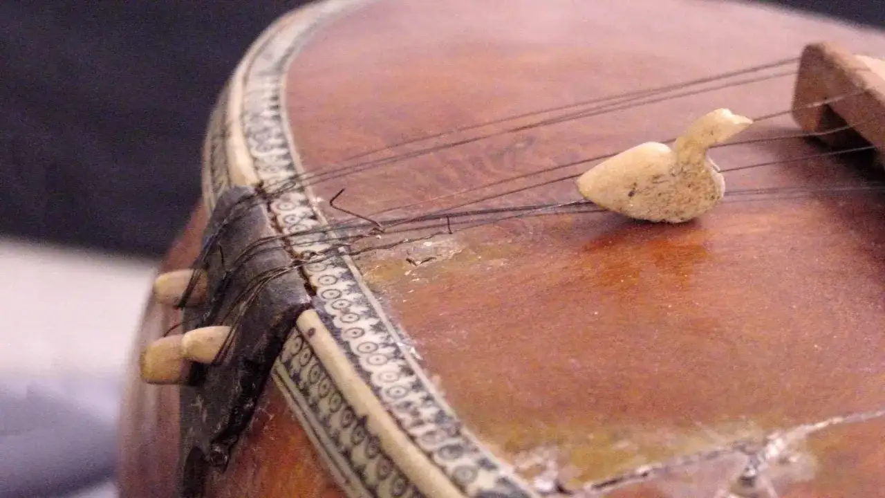Gros plan sur un sitar indien, avec un petit pont en forme d'oiseau et ses cordes fines.