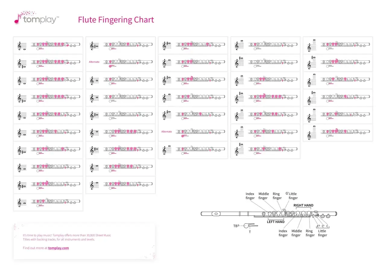 Tableau de doigtés pour la note flute traversière. Il montre les positions des doigts pour jouer différentes notes sur l'instrument.