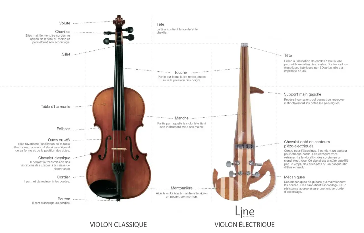 Violon classique et &eacute;lectrique compar&eacute;s, montrant leurs parties distinctes. Le violon classique est en bois, l'&eacute;lectrique est moderne.
