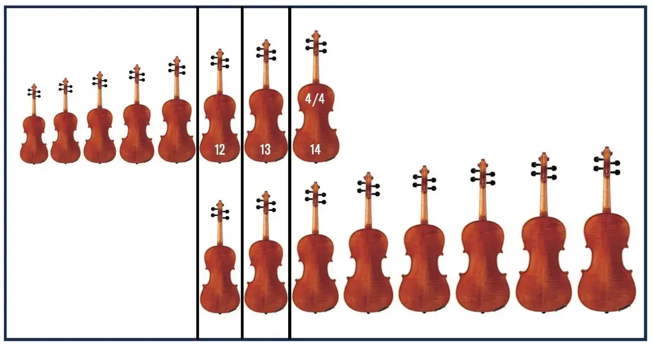 Comparaison visuelle de la diff&eacute;rence violon et alto, montrant une gamme de tailles d'instruments, des plus petits violons aux altos plus grands.