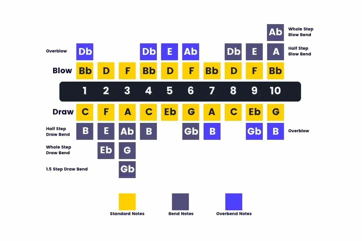 Tableau des notes de harmonica : notes standards, bends et overbends. Indique les notes jouées en soufflant ou aspirant sur chaque trou.