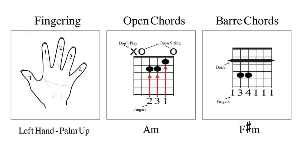 Diagrammes de doigt&eacute;s pour guitare : main gauche, accords ouverts (Am) et accord guitare g7 barr&eacute; (F#m).